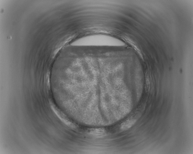 X0000086030398200704201951