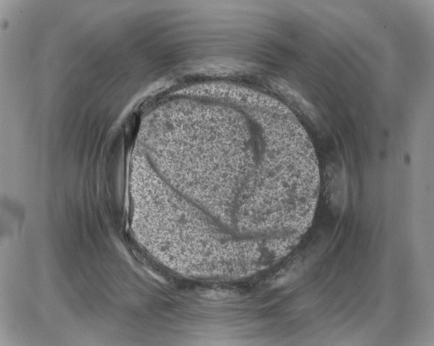 X0000086030400200704201951