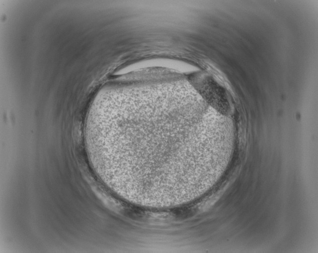 X0000086030401200704201951