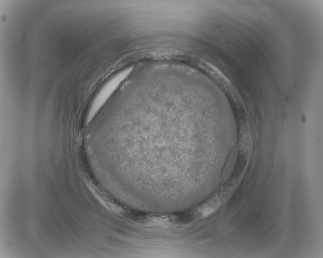 X0000086030405200704201951