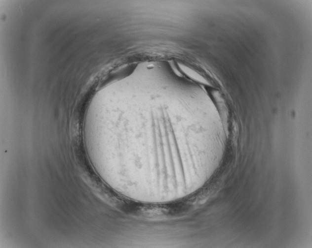 X0000086030407200704201951