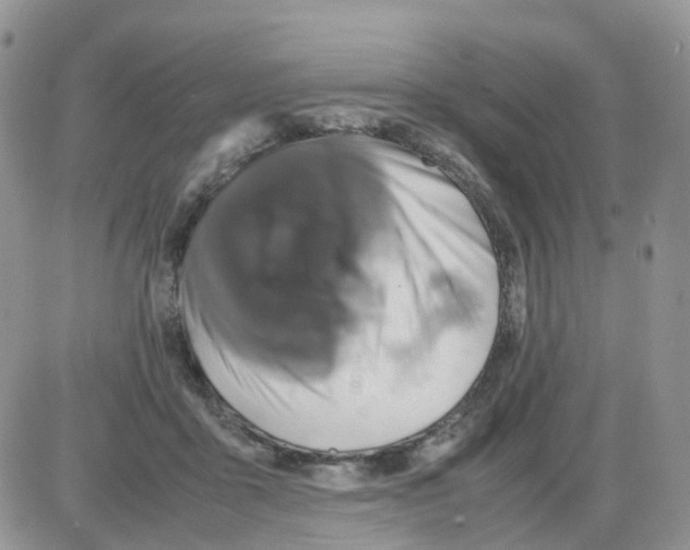 X0000086030411200704201951