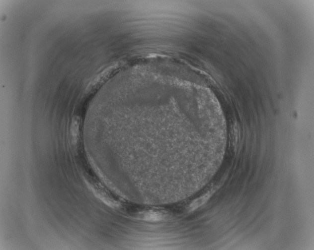 X0000086030412200704201951