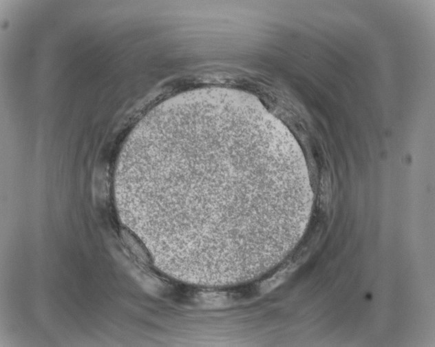 X0000086030413200704201951