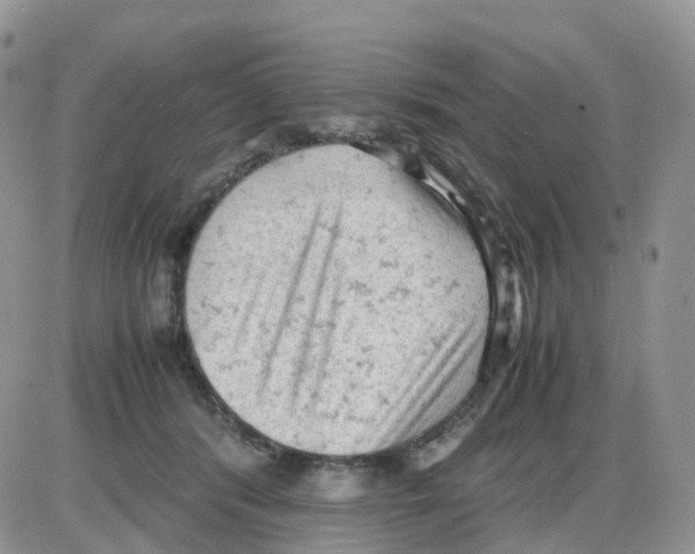 X0000086030416200704201951