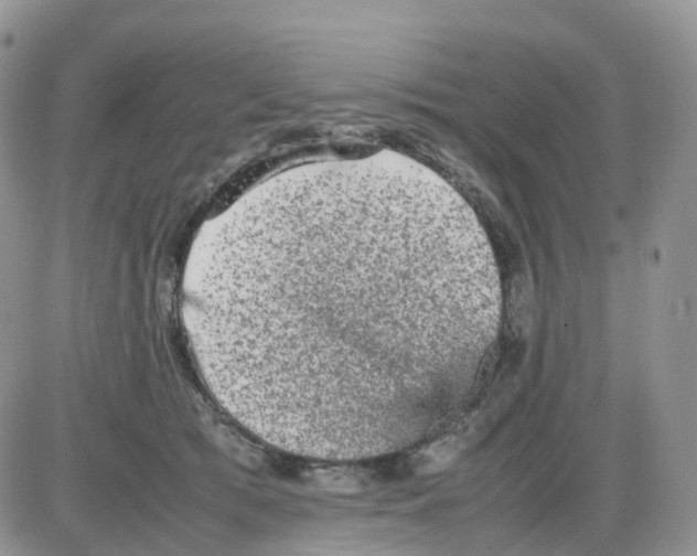 X0000086030417200704201951