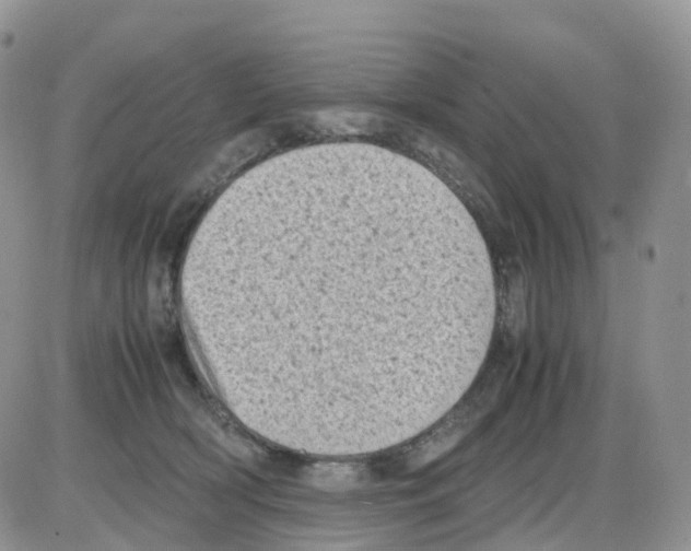 X0000086030418200704201951