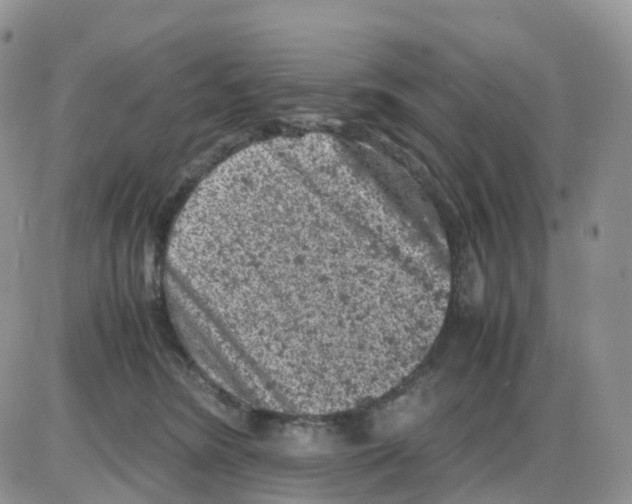 X0000086030420200704201951