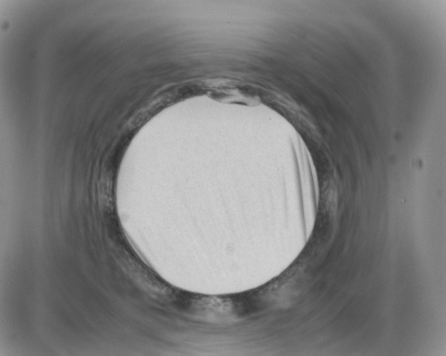 X0000086030421200704201951