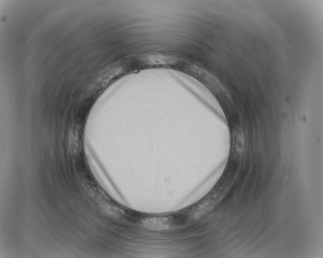 X0000086030422200704201951