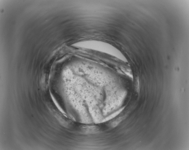 X0000086030428200704201951