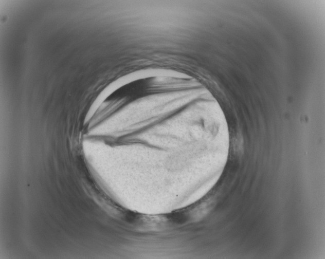 X0000086030429200704201951