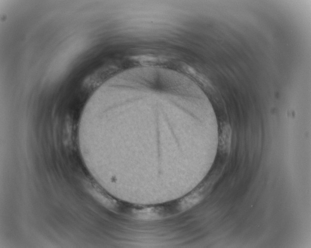 X0000086030430200704201951