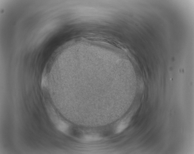 X0000086030431200704201951