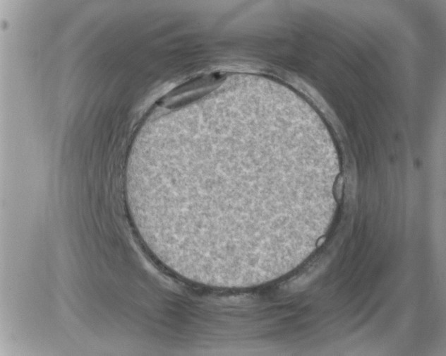 X0000086030433200704201950