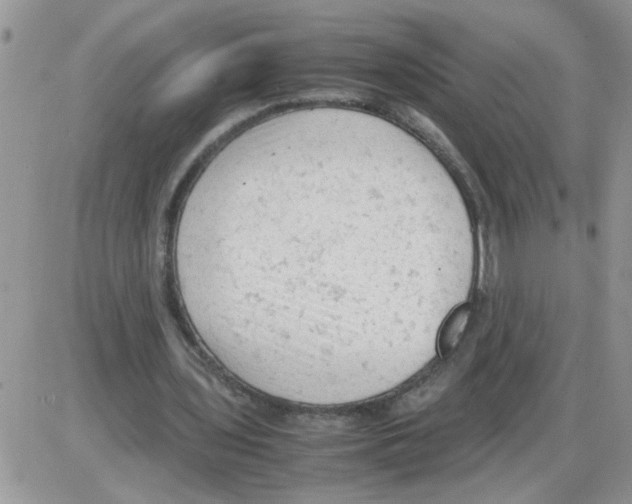 X0000086030435200704201950