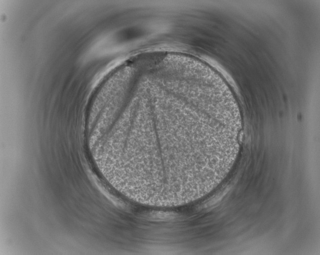 X0000086030437200704201950