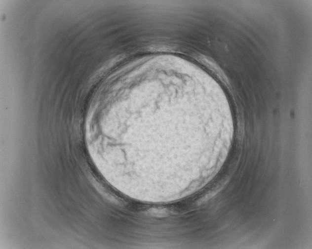 X0000086030441200704201950