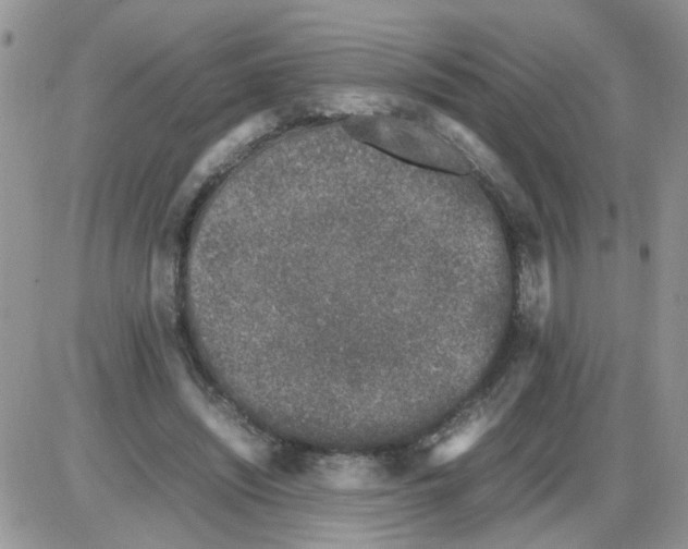 X0000086030444200704201950