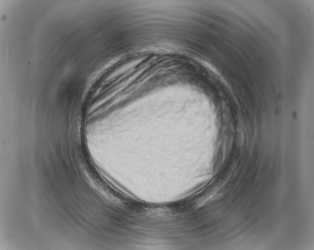 X0000086030446200704201950