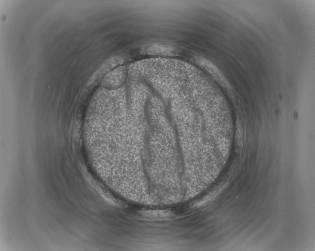 X0000086030449200704201950