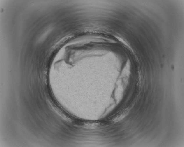 X0000086030450200704201950