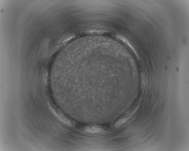 X0000086030451200704201950