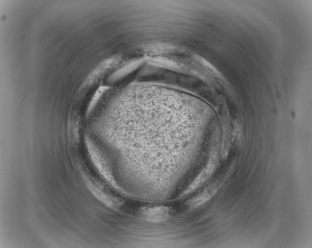 X0000086030452200704201950