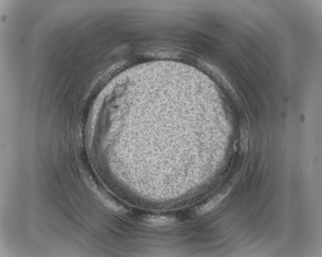 X0000086030453200704201950