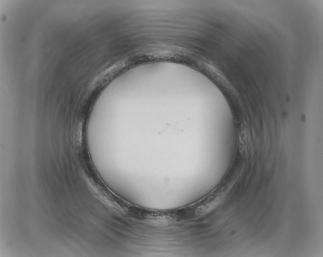 X0000086030454200704201950