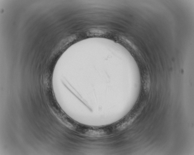 X0000086030455200704201950