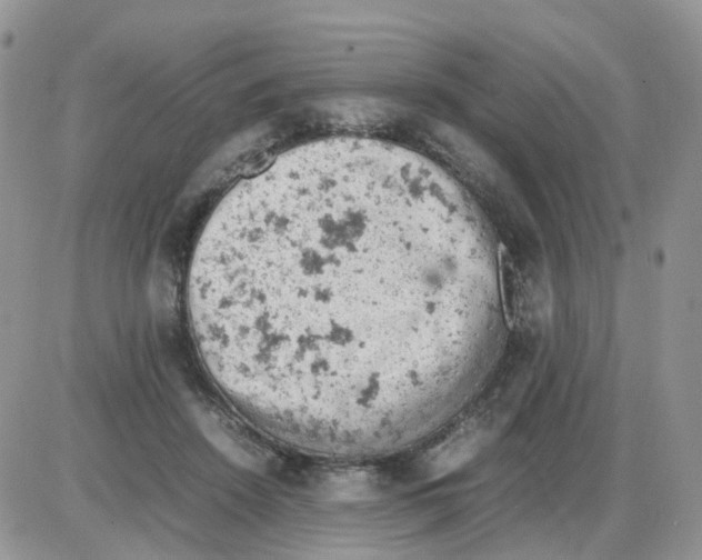 X0000086030456200704201950