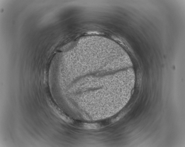 X0000086030457200704201950