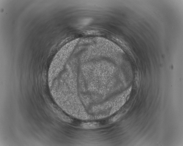 X0000086030461200704201950