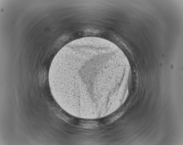 X0000086030463200704201950