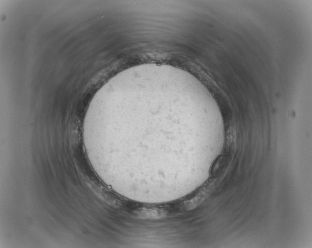 X0000086030464200704201950