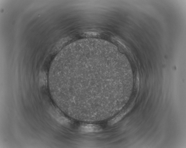 X0000086030467200704201950