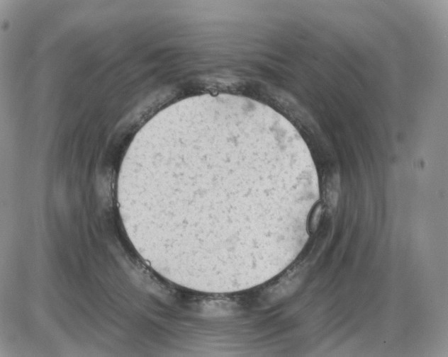 X0000086030468200704201950