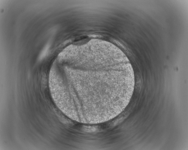 X0000086030469200704201950