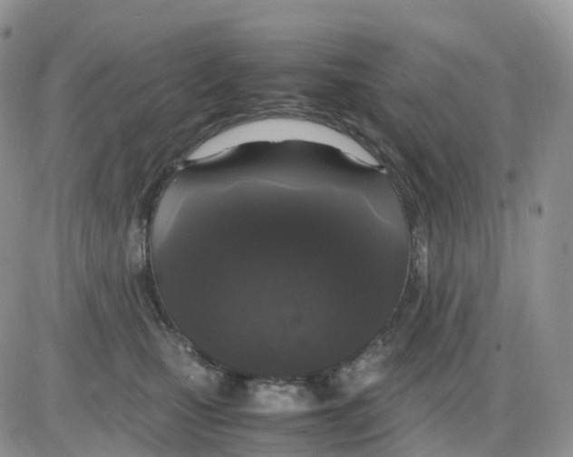 X0000086030471200704201950