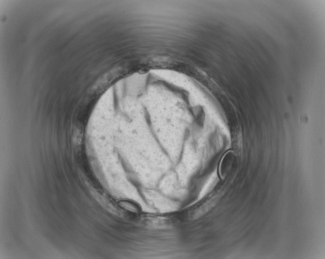 X0000086030472200704201950