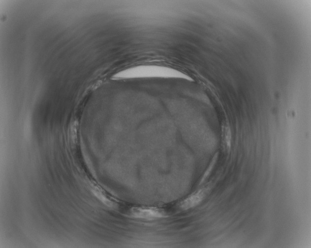 X0000086030475200704201951