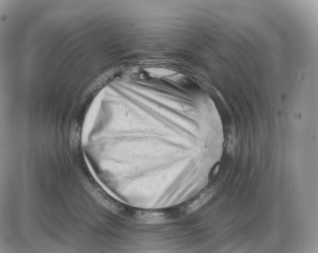 X0000086030476200704201951