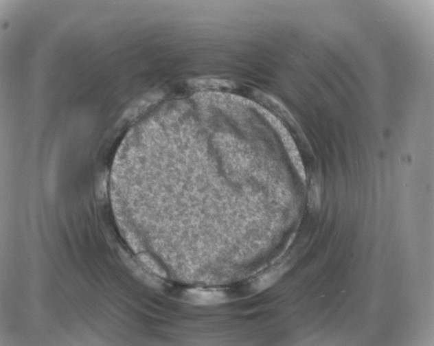 X0000086030477200704201951