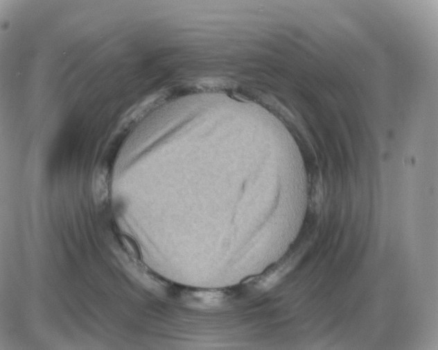 X0000086030478200704201951