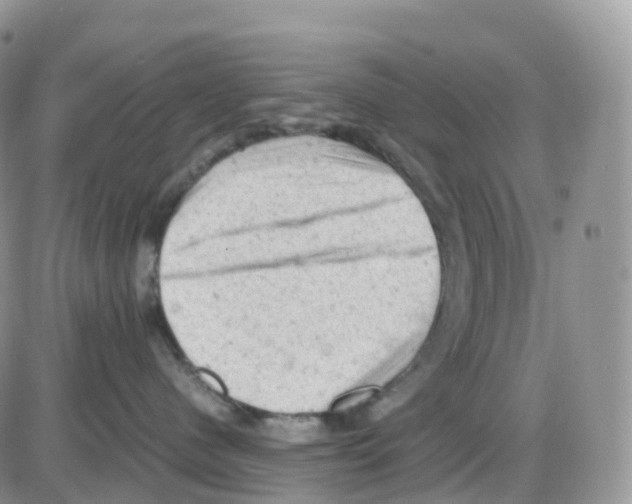 X0000086030480200704201951