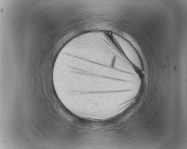 X0000086030481200704201950