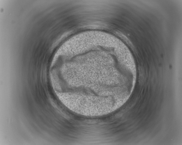 X0000086030482200704201950