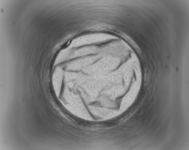 X0000086030485200704201950