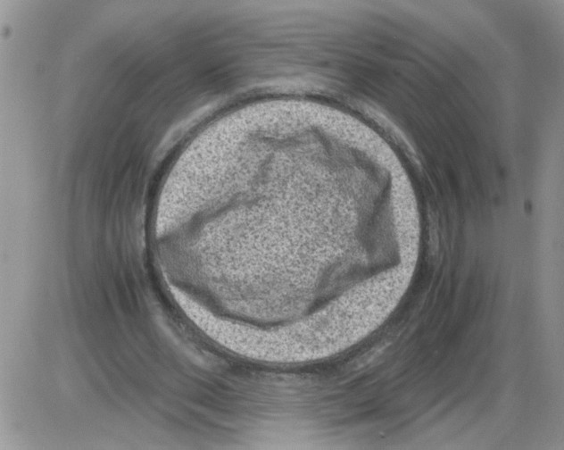 X0000086030486200704201950